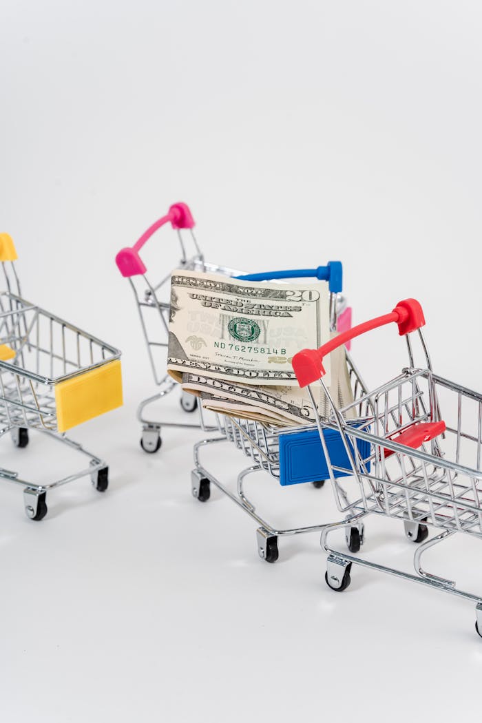 Miniature shopping carts filled with US dollar banknotes on a white background, representing commerce and financial concepts.